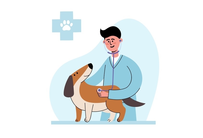 Attractive Niche for CPA Accountants - Pet Hospitals and Veterinary Medical Care